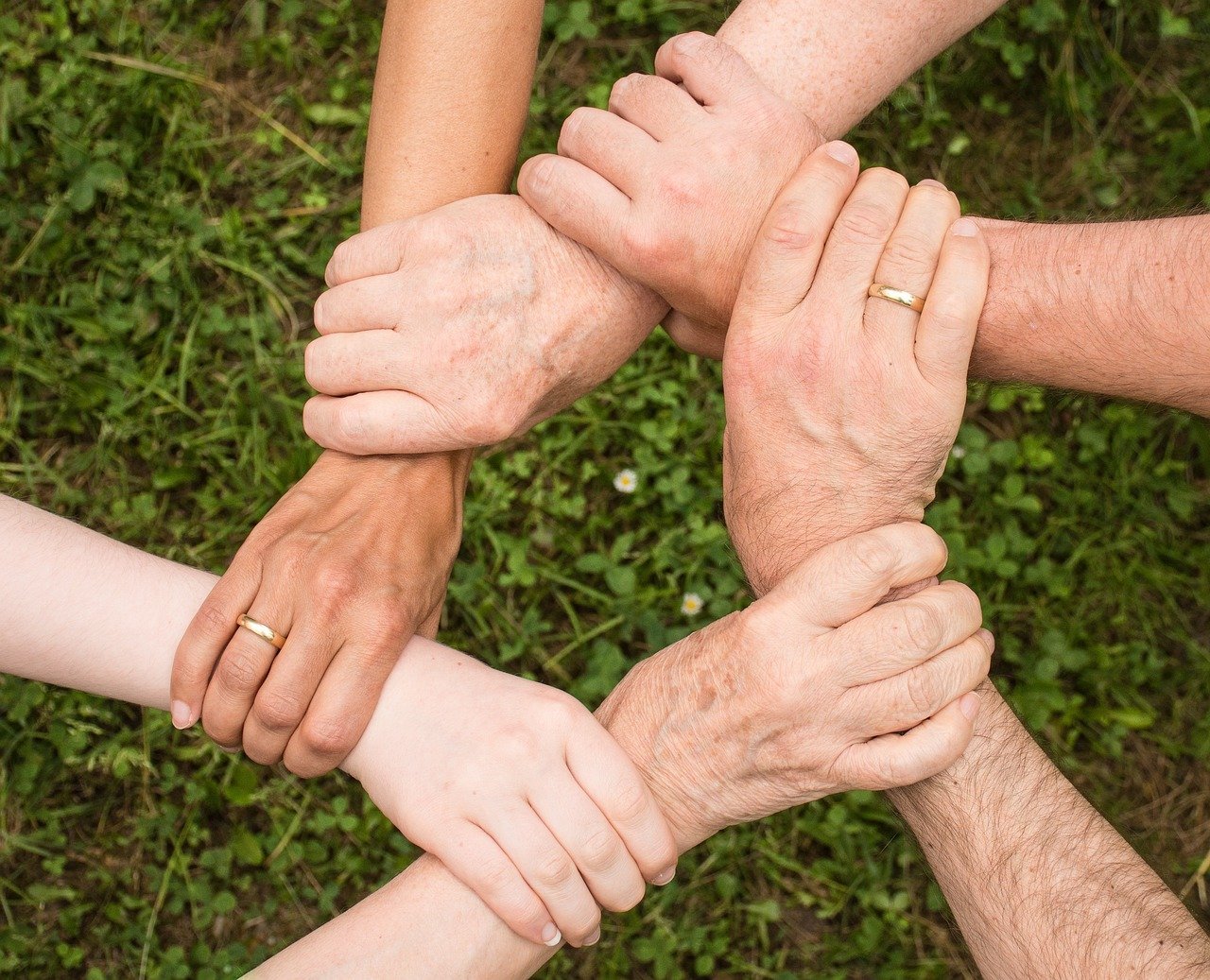 The Broader DEI Debate (Image Credits: Pixabay)