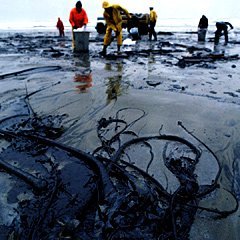 The 2010 Deepwater Horizon Disaster Still Haunts Florida (Image Credits: Wikimedia)