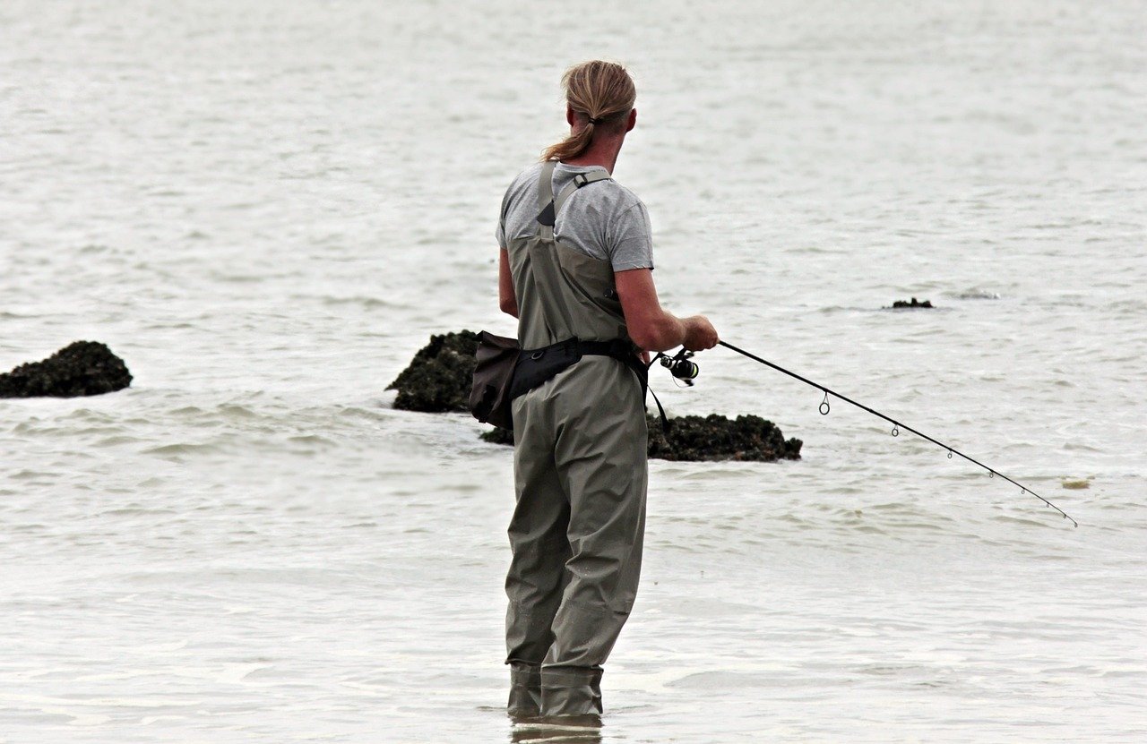 Tourism and Fishing Industries Face Existential Risk (Image Credits: Pixabay)