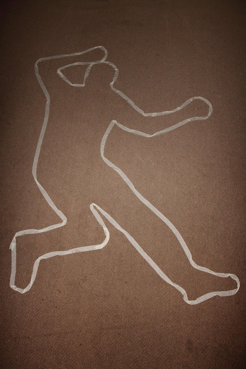 The Investigation and Unanswered Questions (Image Credits: Pixabay)