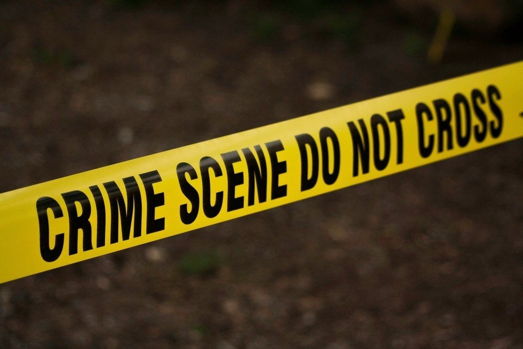 Broader Refund Fraud Schemes Hitting New York (Image Credits: Rawpixel)