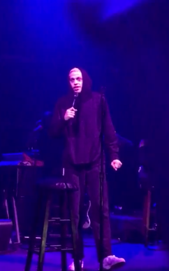Elsie Hewitt: 5 Things About Pete Davidson’s Girlfriend & Mother of His Child