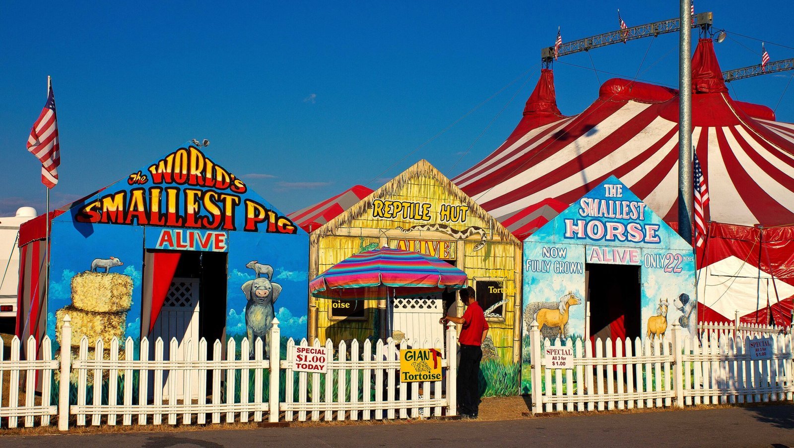 More Than Just a Fair for Virginia (Image Credits: Wikimedia)