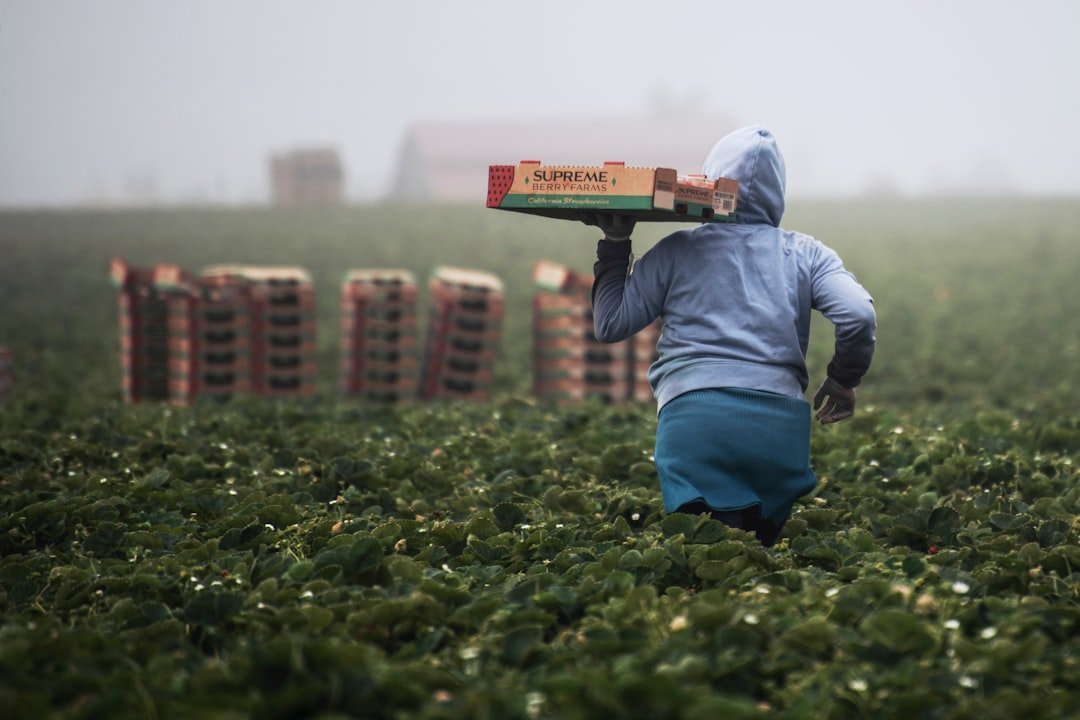 Immigration Crackdown Is Limiting Labor Supply (Image Credits: Unsplash)