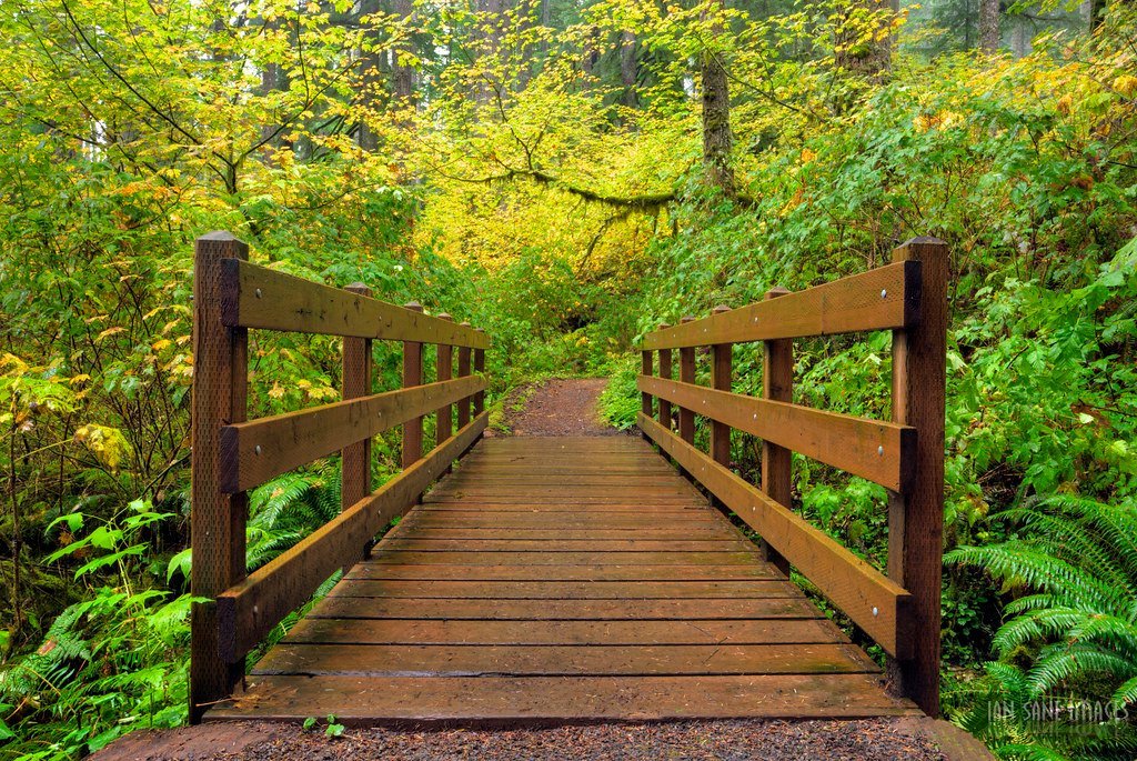 Access to Nature Without the Weekend Escape (Image Credits: Flickr)