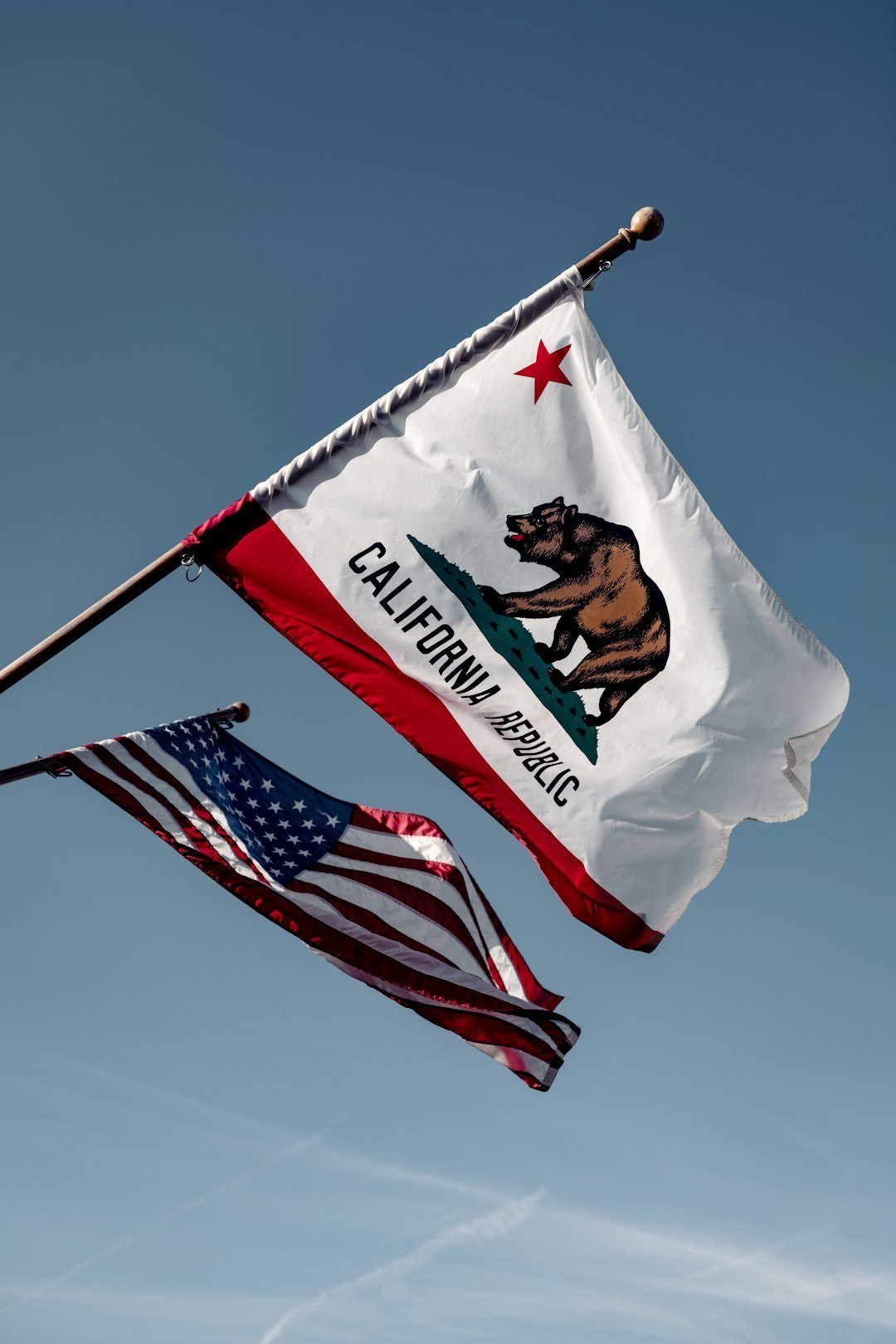 Can California Really Afford to Lose Its Tax Base? (Image Credits: Unsplash)