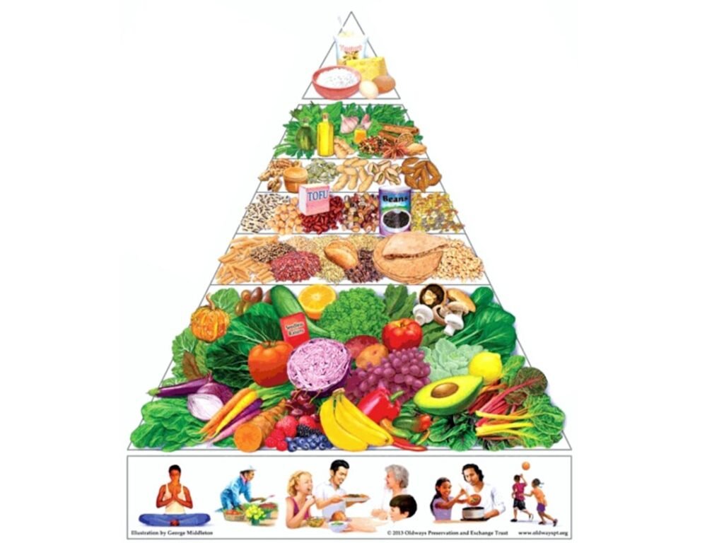 U.S. Dietary Guidelines 2025-2030: Prioritizing Protein, Healthy Fats, and Whole Foods