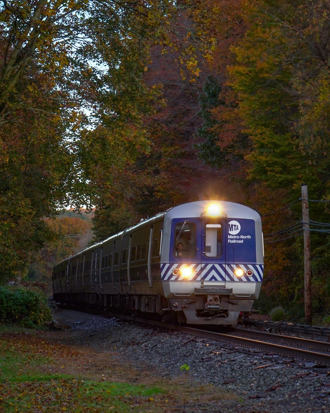 Metro-North Becomes the Unexpected Alternative (Image Credits: Unsplash)