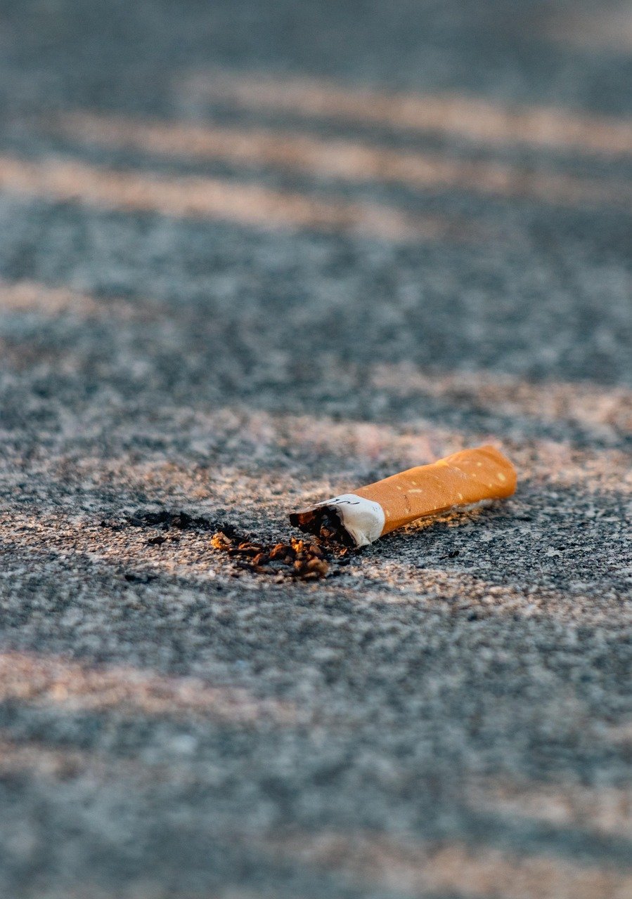 They're Breaking Bad Habits Like Never Before (Image Credits: Pixabay)