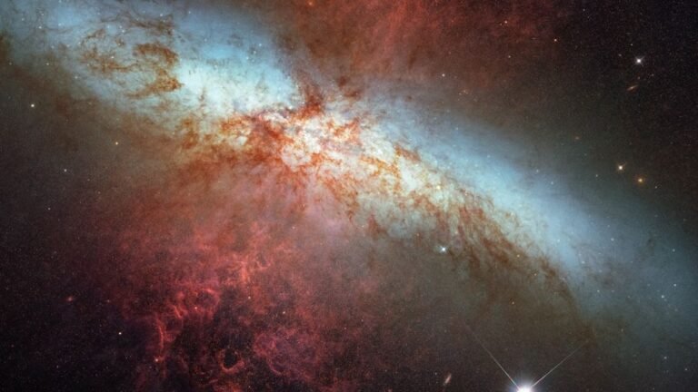 Unveiling the Cosmos: The Ultimate Guide to Everything in the Universe