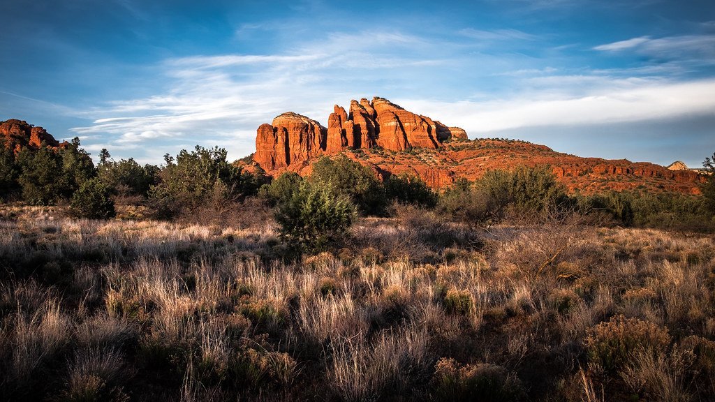 The Lessons Arizona Taught Still Echo Across the Nation (Image Credits: Flickr)