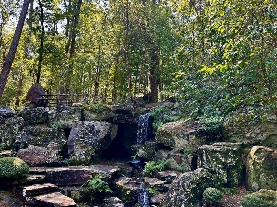 America's First Wellness Retreat Was Protected Here (Image Credits: Unsplash)