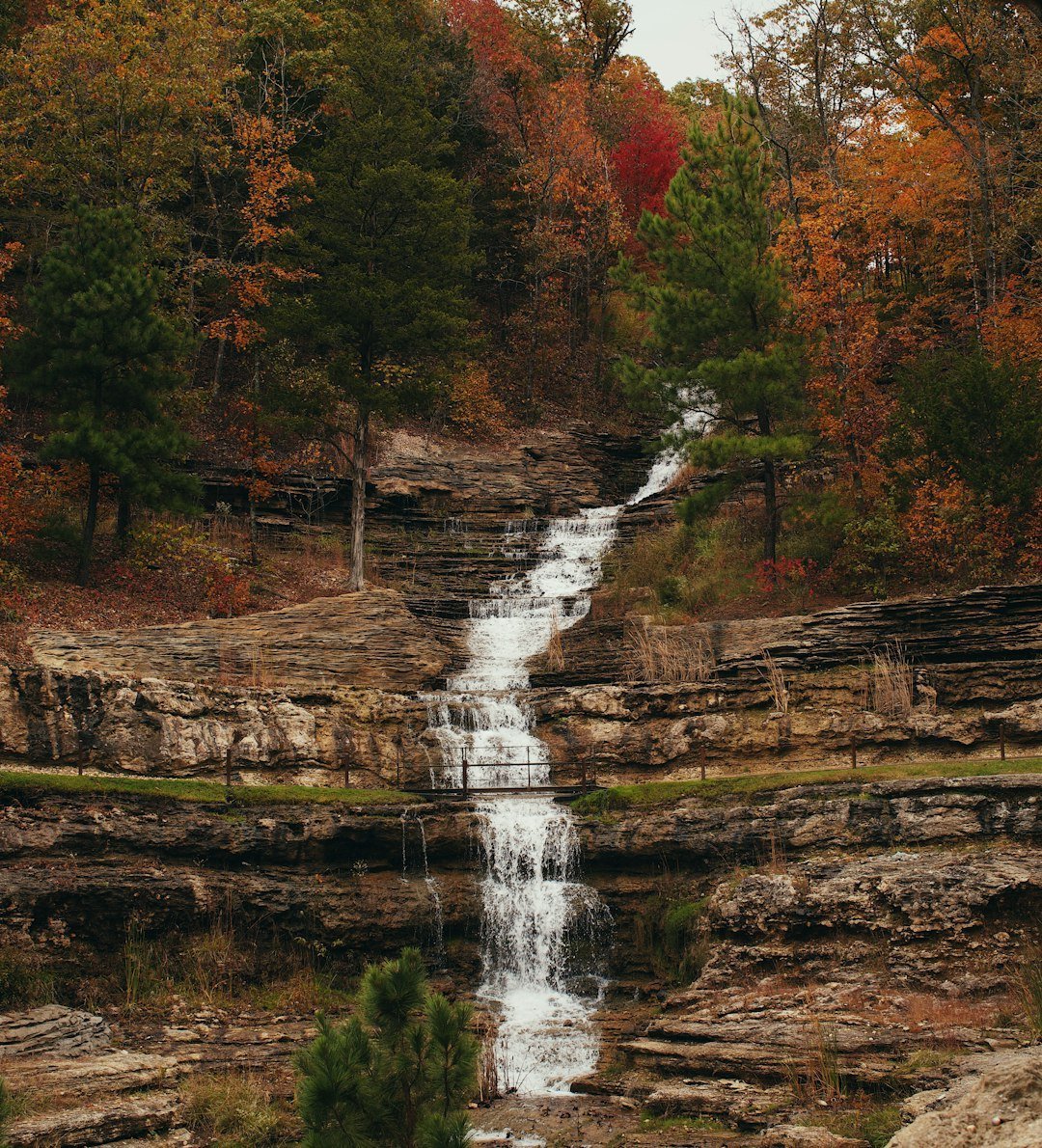 The Ozark Culture That Defined American Outdoors (Image Credits: Unsplash)