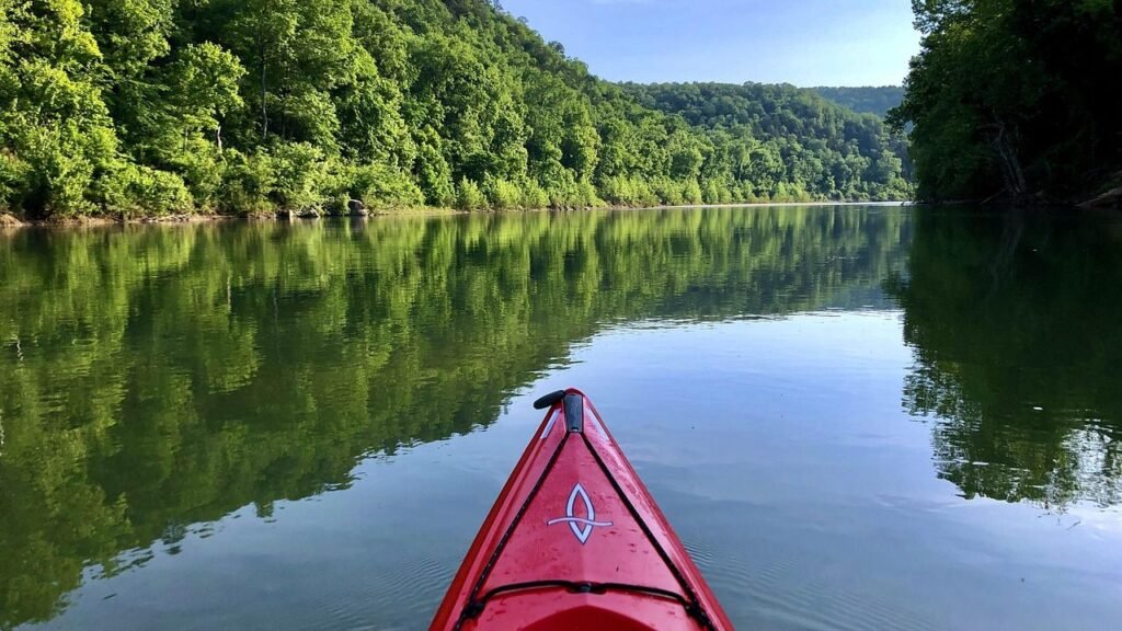 It Started in Arkansas – And It Changed How America Shops, Heals, and Protects Nature