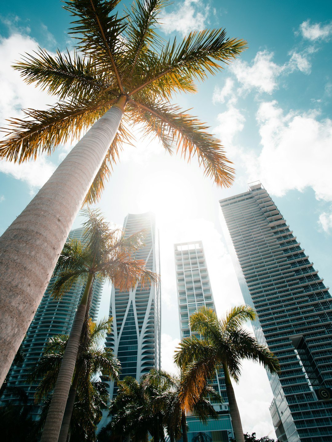 Introduction (Image Credits: Unsplash)