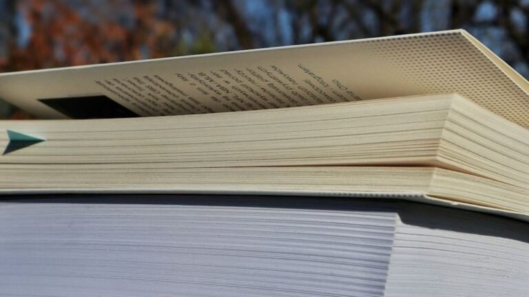 Why Skipping 800-Page Books Robs You of Real Mental Gains: The Psychology of Storytelling