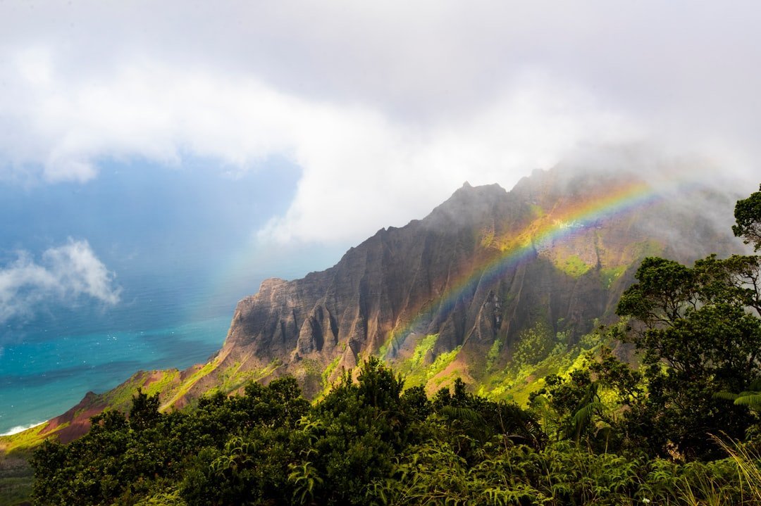 When the Story Needed to Start Somewhere (Image Credits: Unsplash)