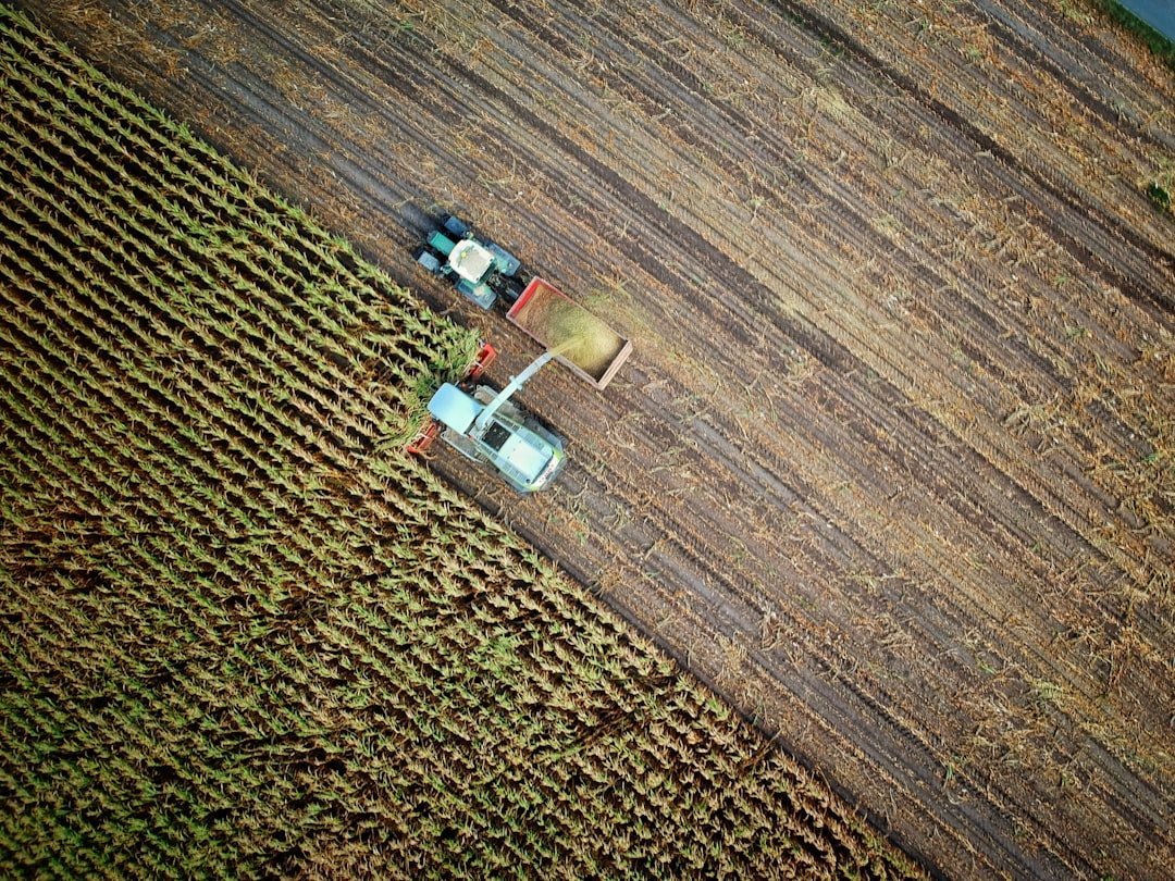 Where Modern Farming Became a Science (Image Credits: Unsplash)