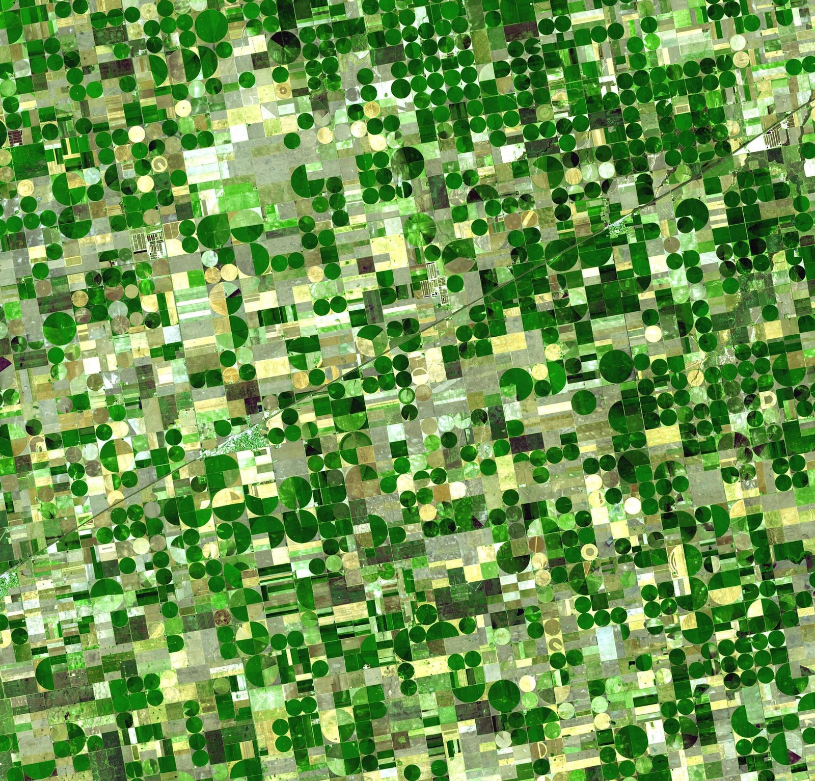 The Breadbasket Didn't Happen by Accident (Image Credits: Wikimedia)