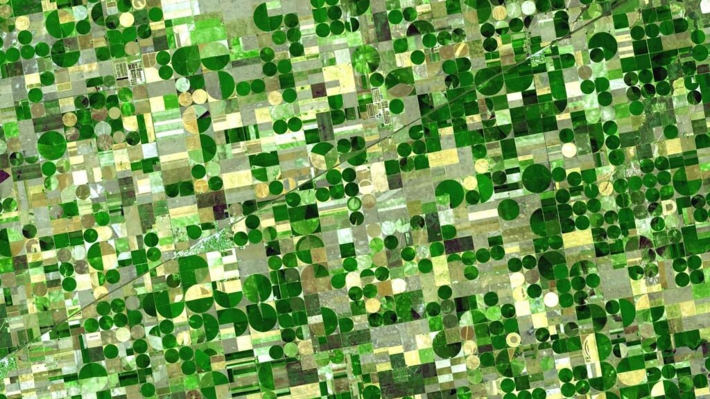 It Started in Kansas – And It Defined How America Flies, Farms, and Dreams of Home