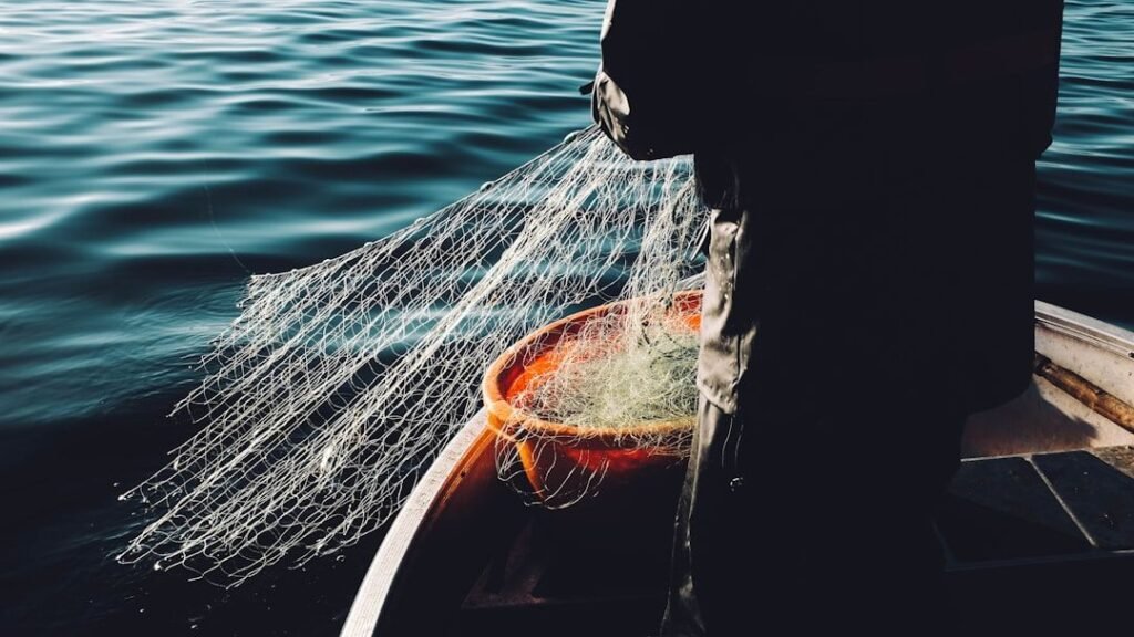 It Started in Maine - And It Shaped How America Writes, Fishes, and Faces the Edge of the World