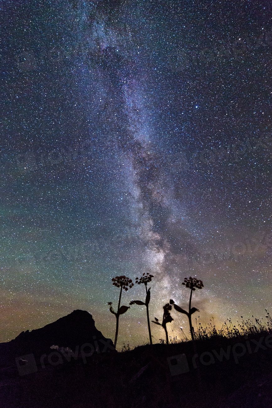 America's Love for Uncrowded, Untamed Places Started Here (Image Credits: Rawpixel)