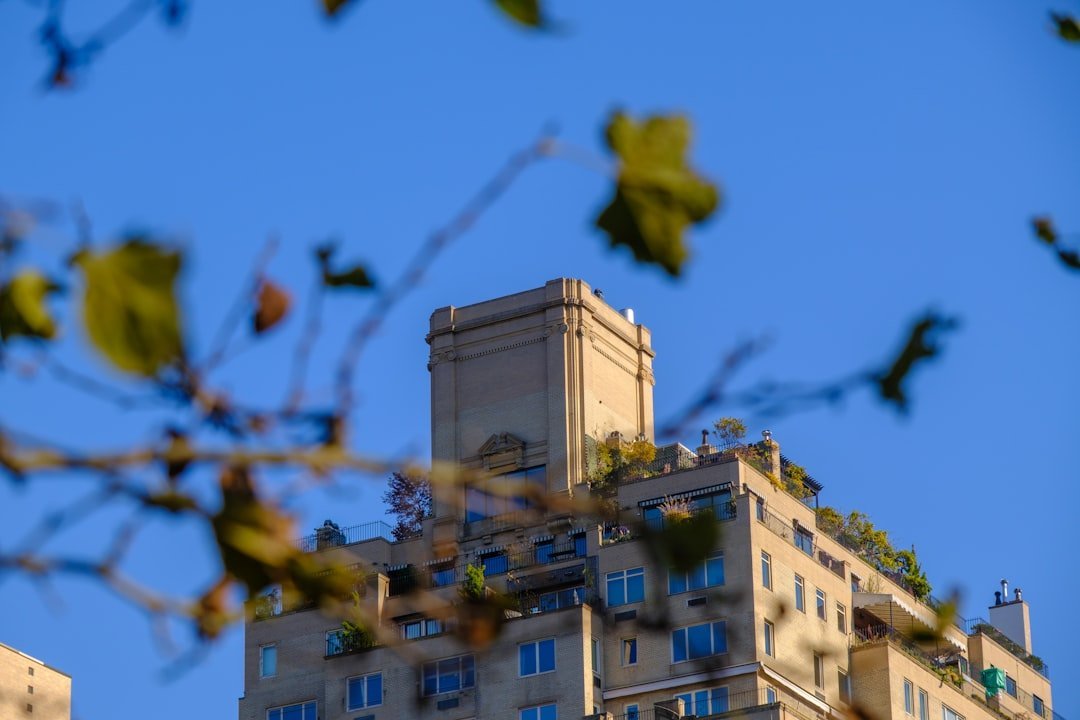 The Central Park Upper East Side Burglar (Image Credits: Unsplash)