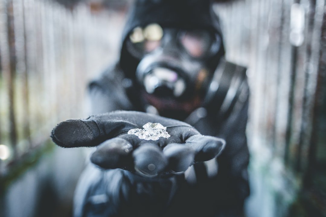 The Pink Panthers: International Precision Meets Beverly Hills Excess (Image Credits: Unsplash)