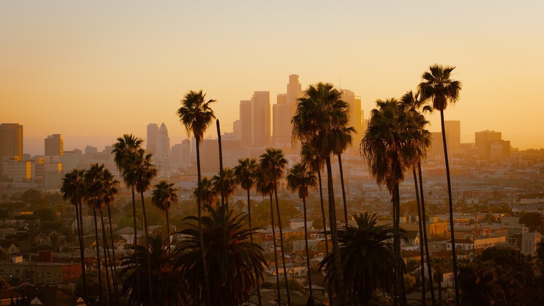 Why LA Became the Perfect Laboratory (Image Credits: Unsplash)