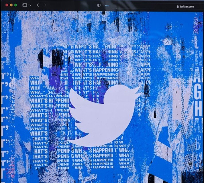 Twitter's API Vulnerability: Scraping at Scale (Image Credits: Unsplash)