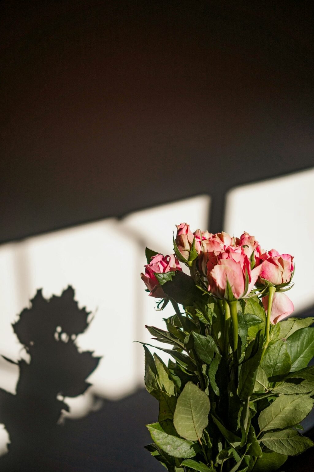 Valentine's Day 2026: Cultivating Love's Light in Wilde's Sunless Garden