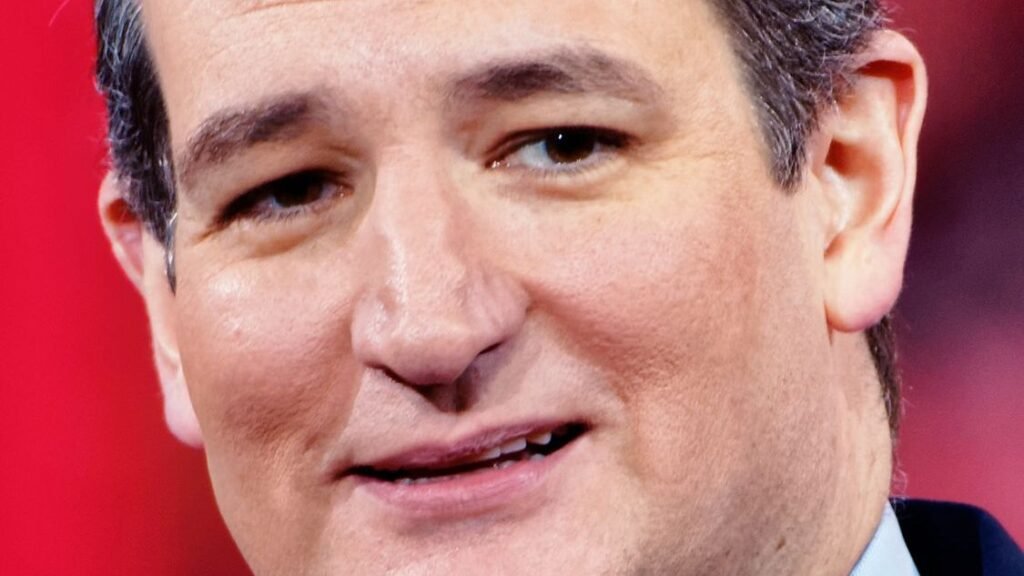 Sen. Ted Cruz Grills Witnesses Over Explosive Somali Welfare Fraud in Minnesota