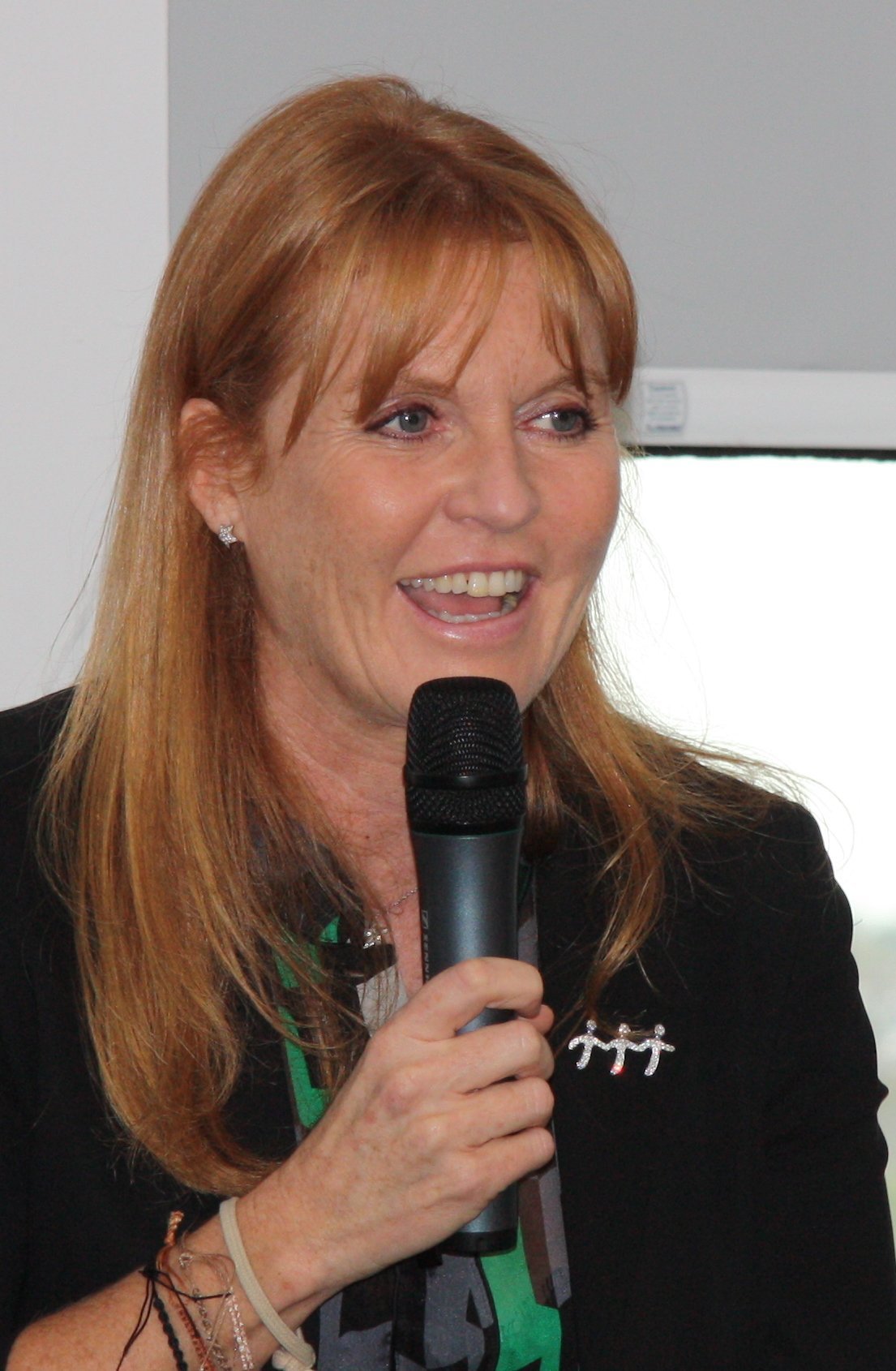 Introduction (Image Credits: Wikimedia)