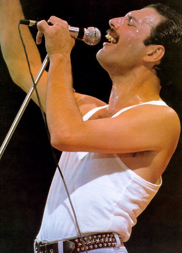 16. Freddie Mercury (Queen) - Gone, But Genuinely Irreplaceable (Image Credits: Flickr)