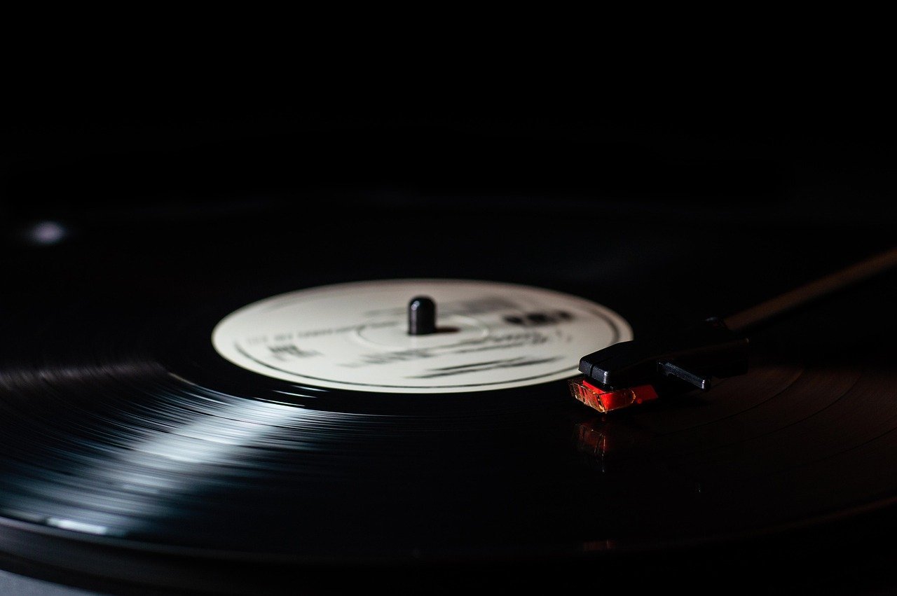 7. The Album Was the Primary Art Form (Image Credits: Pixabay)