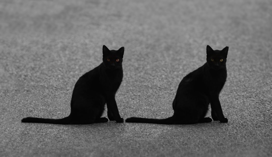 4. Déjà Vu - That Uncanny "I've Been Here Before" Feeling (Image Credits: Unsplash)