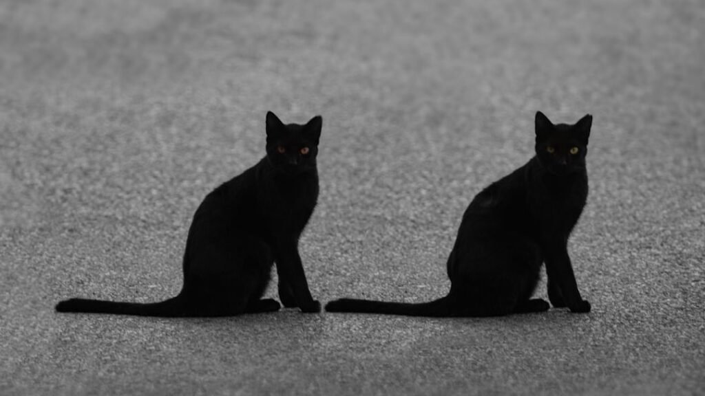 9 Everyday Coincidences That Are Far More Common (and Stranger) Than You Think