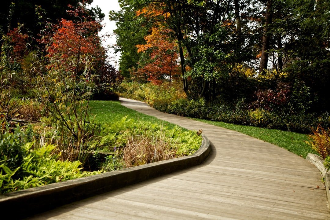 How to Build a Garden That Lasts for Decades (Image Credits: Unsplash)