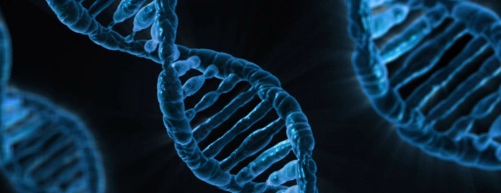 5. The Human Genome Project: Reading the Book of Life (Image Credits: Rawpixel)