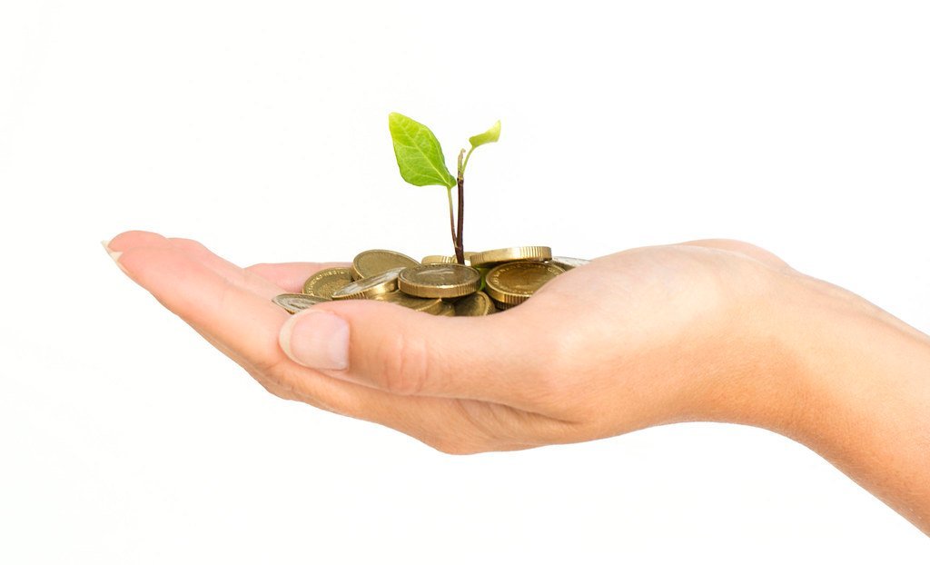 8. Diversify Your Income Streams (free pictures of money, Flickr, CC BY 2.0)