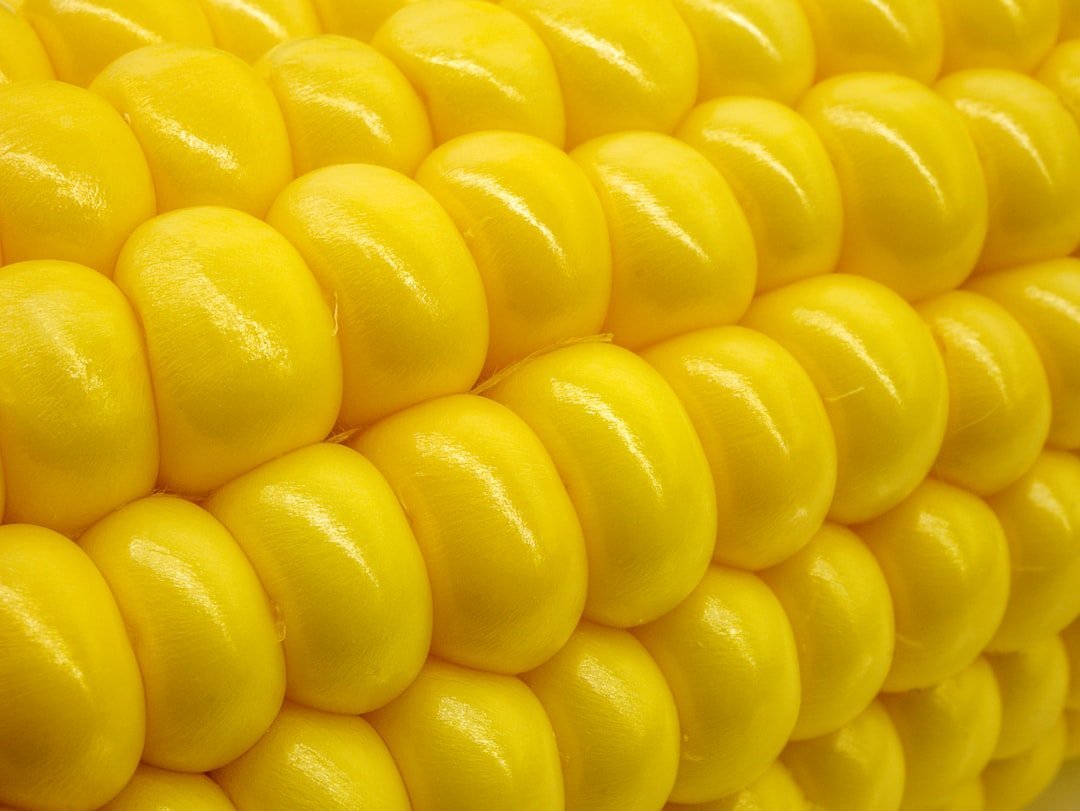 Golden Bantam Corn: The Sweet Corn That Changed Everything (Image Credits: Unsplash)