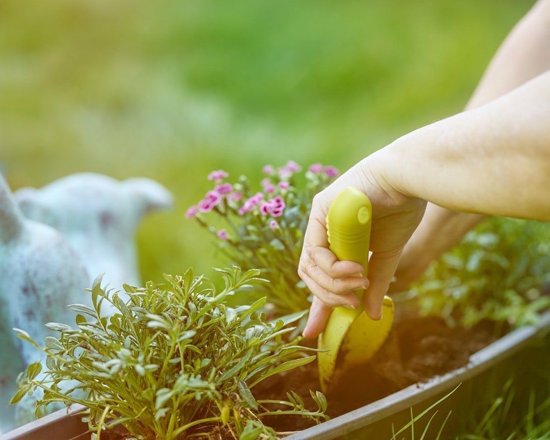Stop Letting Myths Run Your Garden (Image Credits: Unsplash)