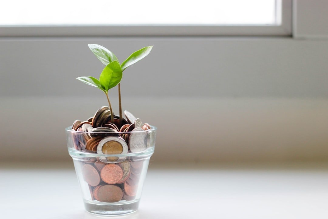 11. Think Long-Term, Not Just Next Month (Image Credits: Unsplash)