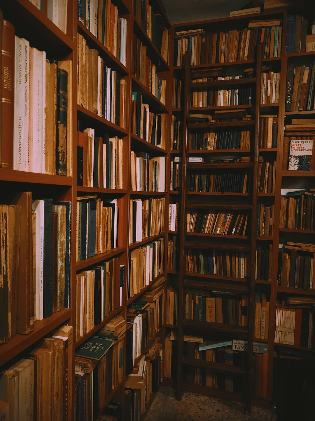 Why Historical Fiction About Real People Endures (Image Credits: Unsplash)