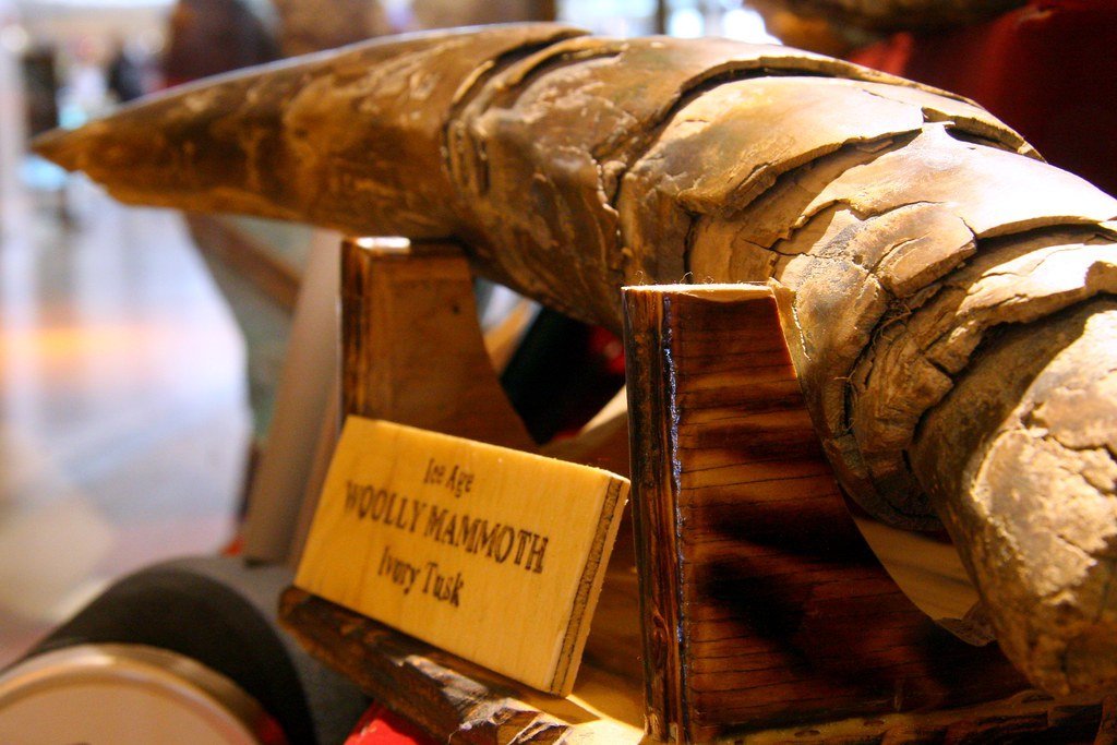 10. 10,000 BC (2008) - Prehistory Has Never Been This Wrong (sfllaw, Flickr, CC BY-SA 2.0)