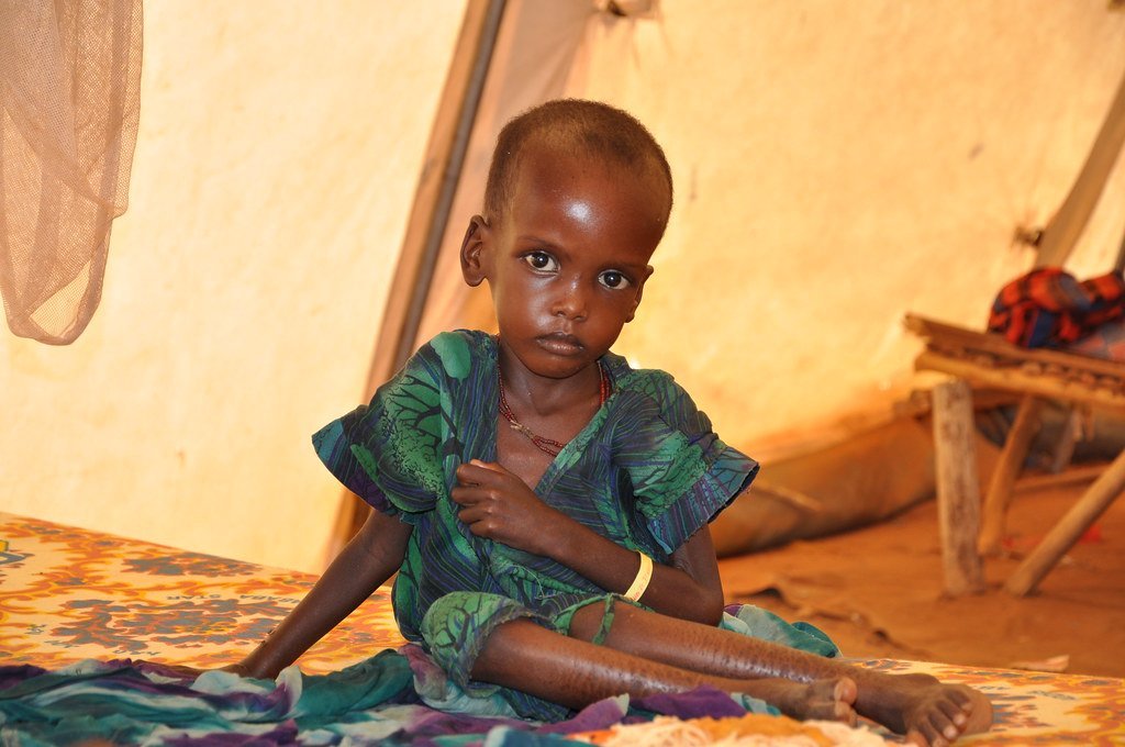 Fact 1: The Crisis That Sparked It All (DFID - UK Department for International Development, Flickr, CC BY 2.0)