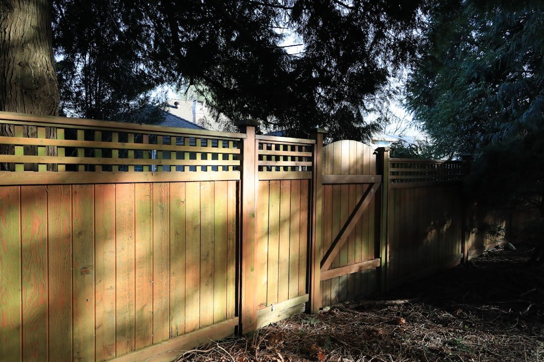 4. Lattice-Top Fence: Where Function Meets Delicate Beauty (Image Credits: Unsplash)
