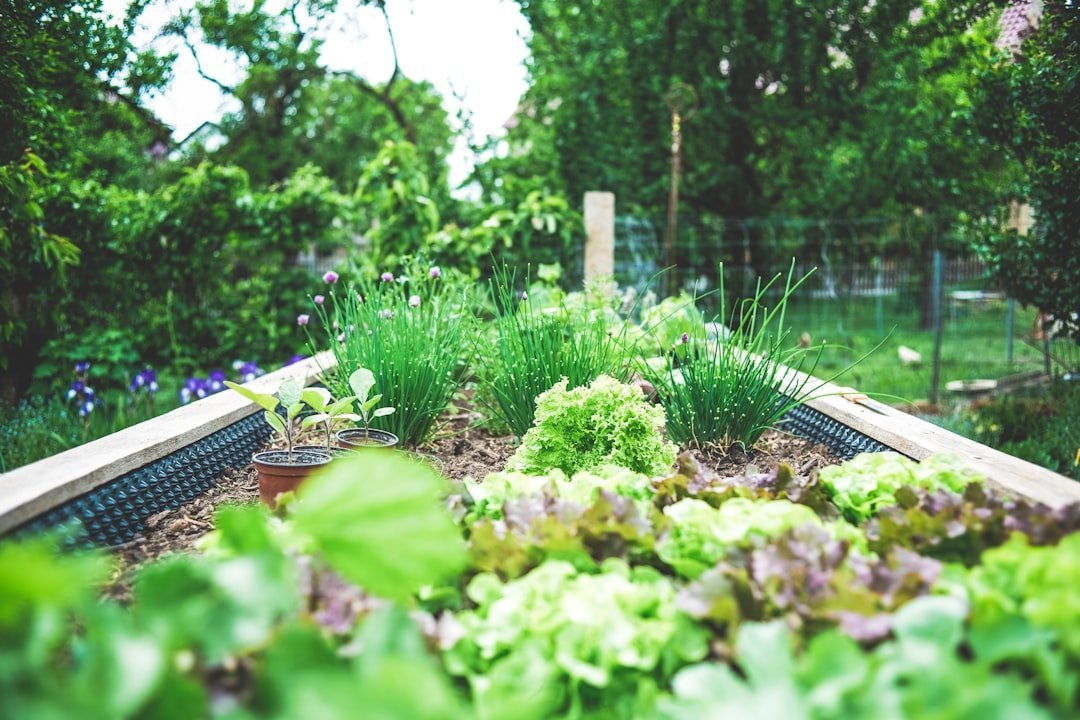 2. The Garden Line and Spinner: The Secret to Perfectly Straight Rows (Image Credits: Unsplash)