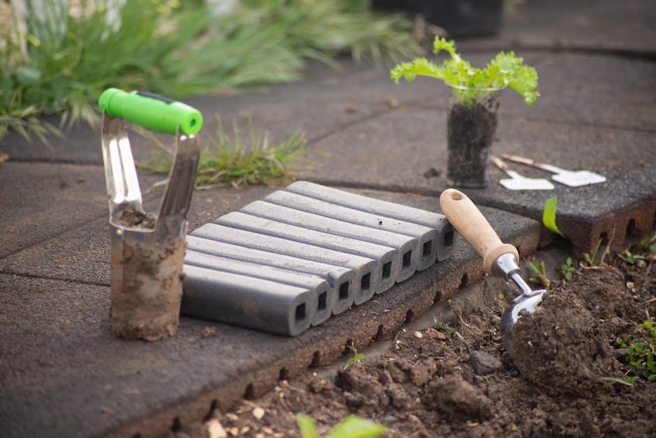 8. The Bulb Planter: Precision Gardening for the Autumn Rush (Image Credits: Pexels)