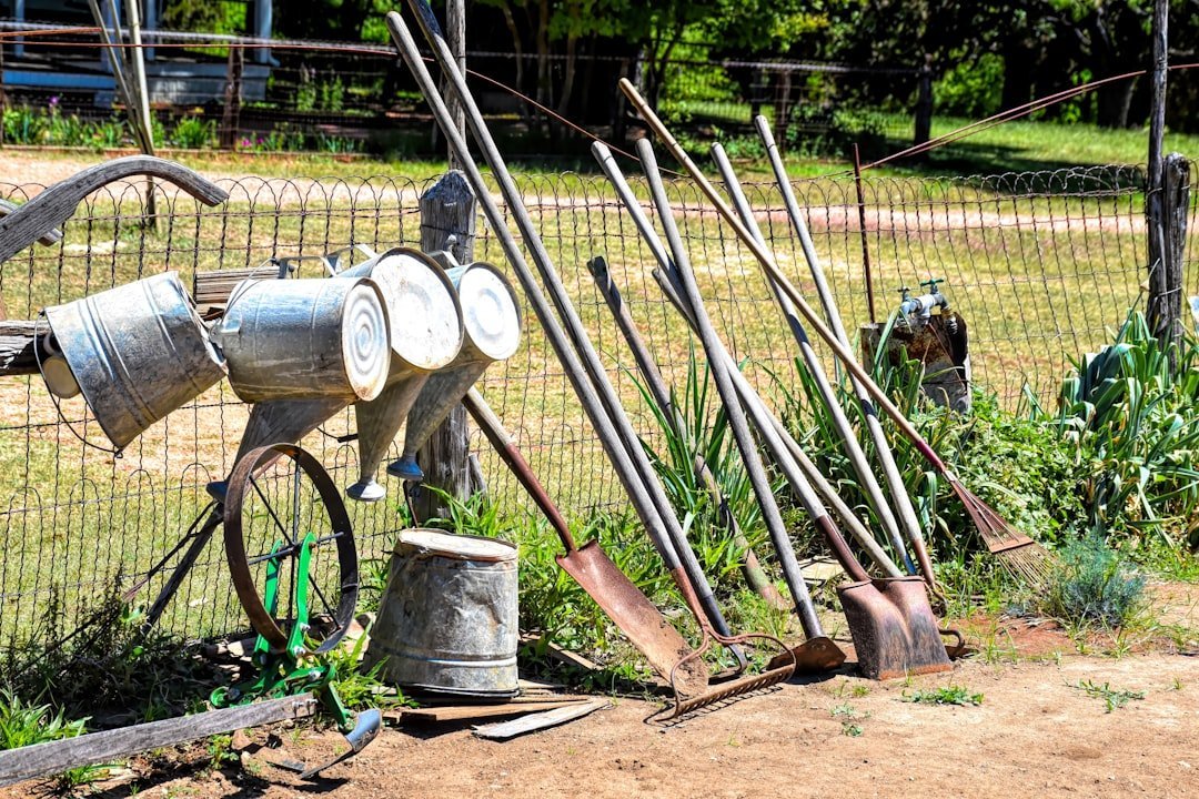 Bring the Past Back Into Your Garden (Image Credits: Unsplash)